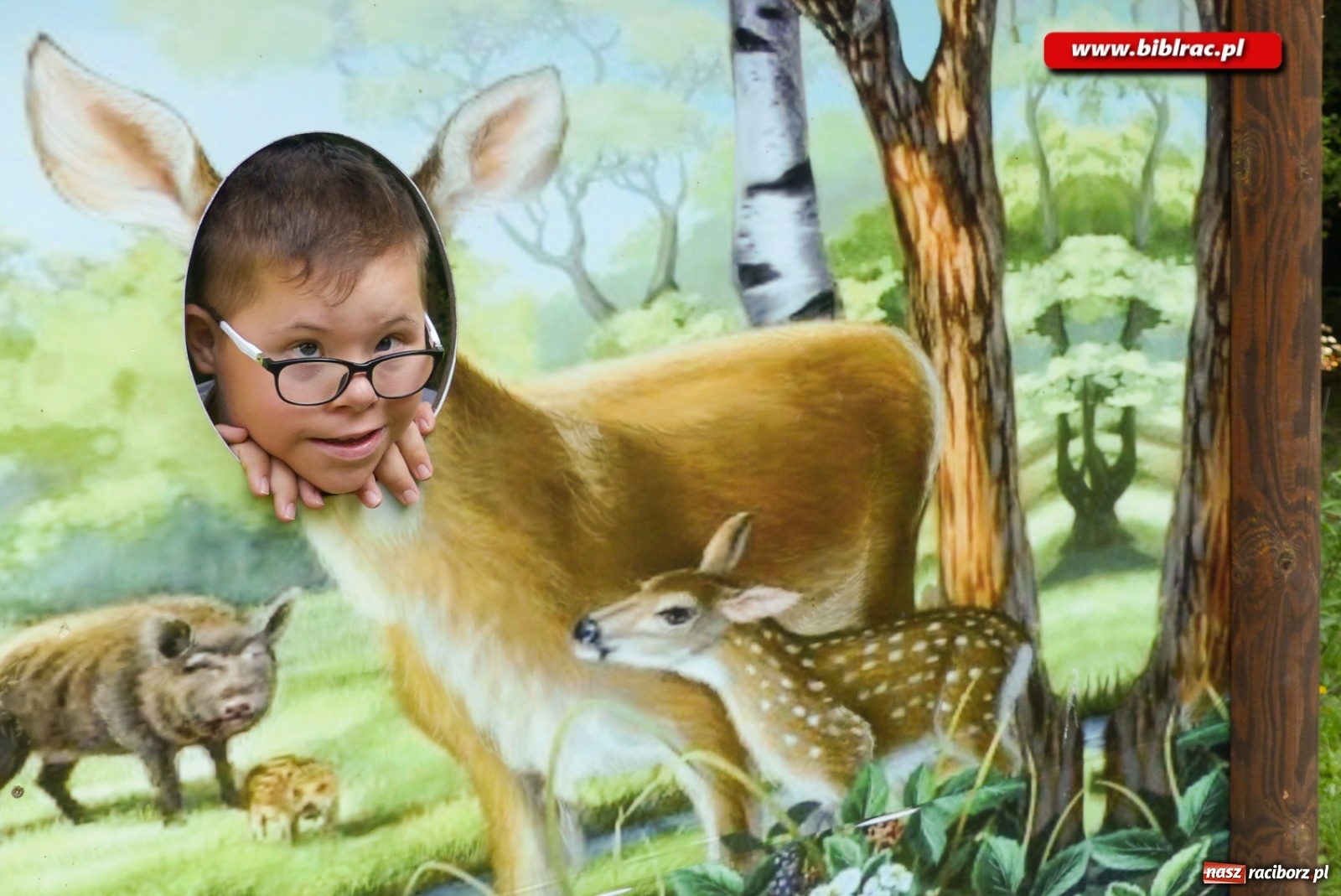 Zdjęcie w galerii na portalu naszraciborz.pl: Finał Lata dla niepełnosprawnych w bibliotece  wiadomości z regionu