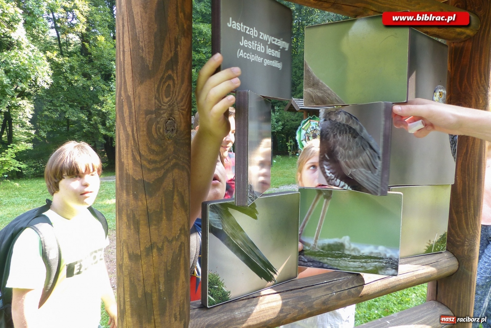 Zdjęcie w galerii na portalu naszraciborz.pl: Finał Lata dla niepełnosprawnych w bibliotece  wiadomości z regionu