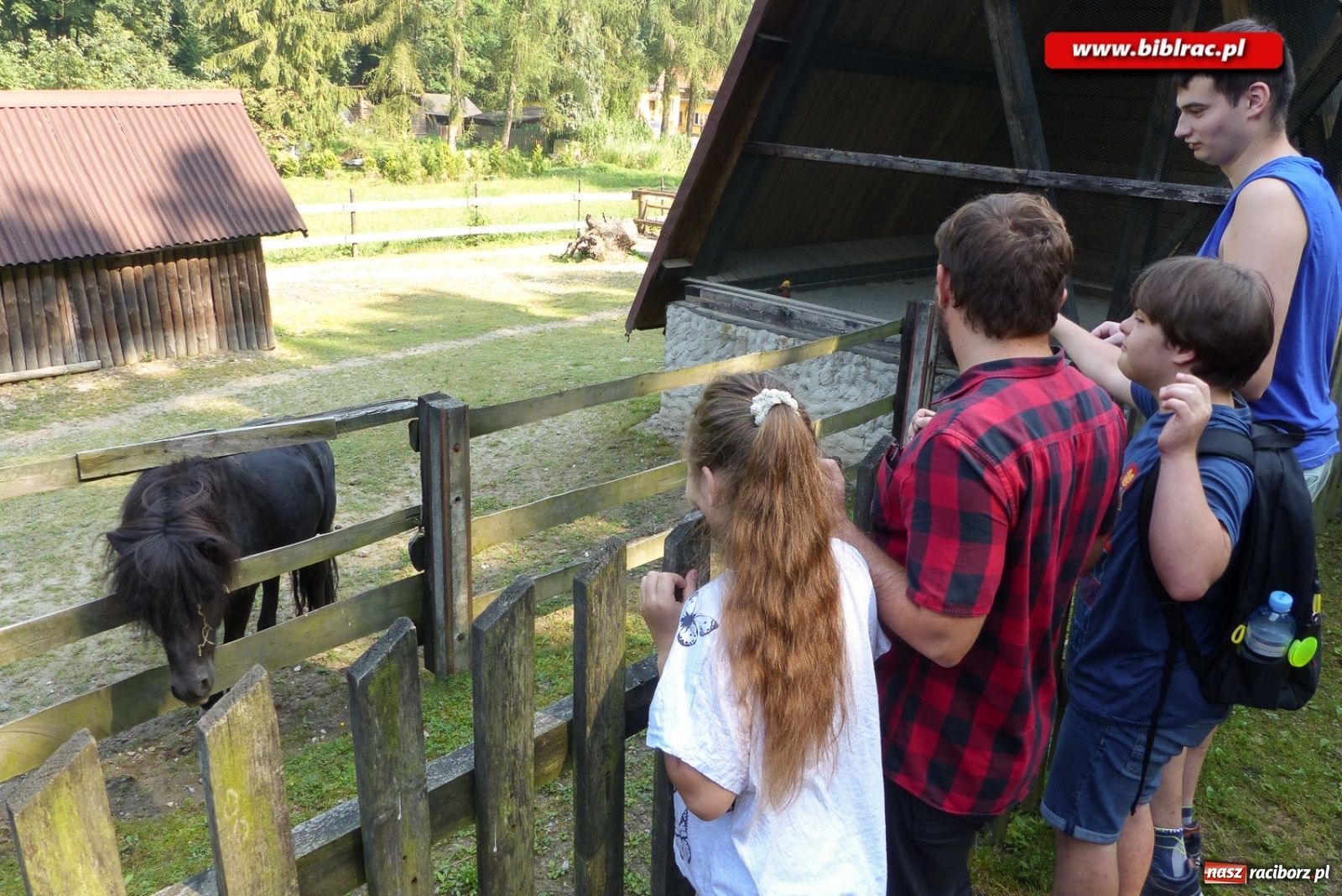 Zdjęcie w galerii na portalu naszraciborz.pl: Finał Lata dla niepełnosprawnych w bibliotece  wiadomości z regionu