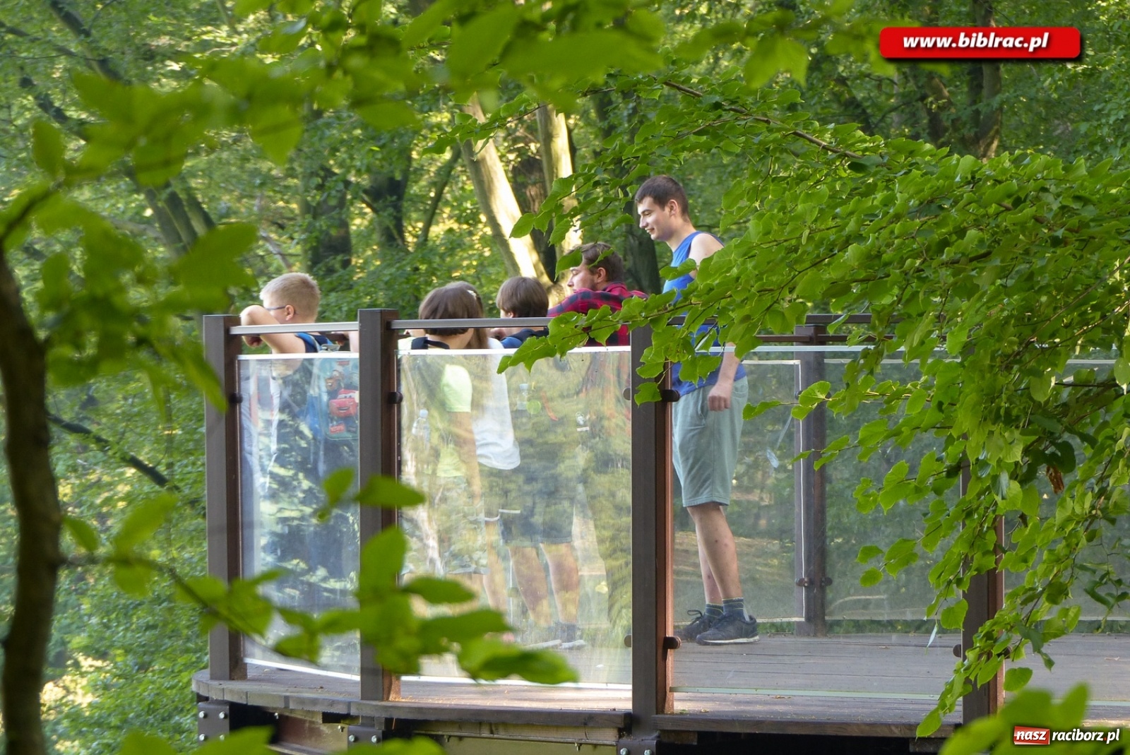 Zdjęcie w galerii na portalu naszraciborz.pl: Finał Lata dla niepełnosprawnych w bibliotece  wiadomości z regionu