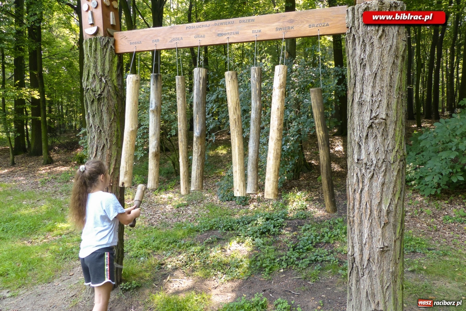 Zdjęcie w galerii na portalu naszraciborz.pl: Finał Lata dla niepełnosprawnych w bibliotece  wiadomości z regionu