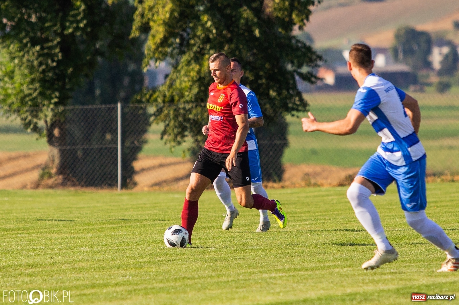 Zdjęcie w galerii na portalu naszraciborz.pl: Borutany zniszczyły mury czernickiego Zameczku [FOTO] wiadomości z regionu