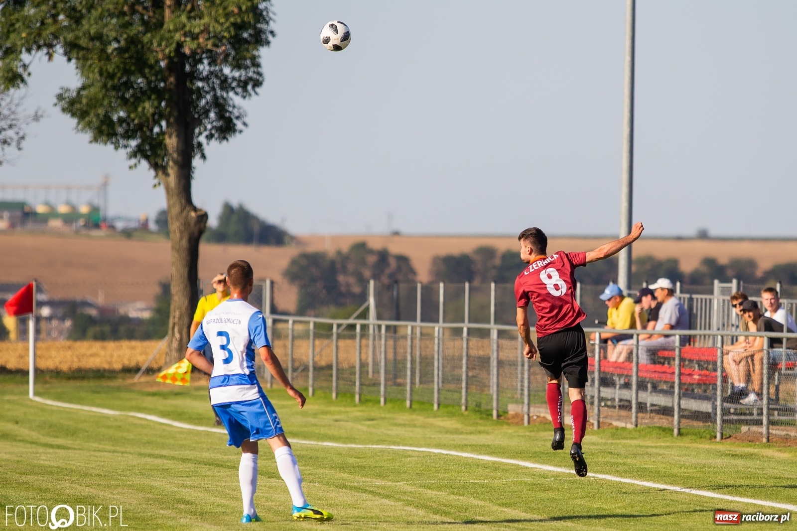 Zdjęcie w galerii na portalu naszraciborz.pl: Borutany zniszczyły mury czernickiego Zameczku [FOTO] wiadomości z regionu