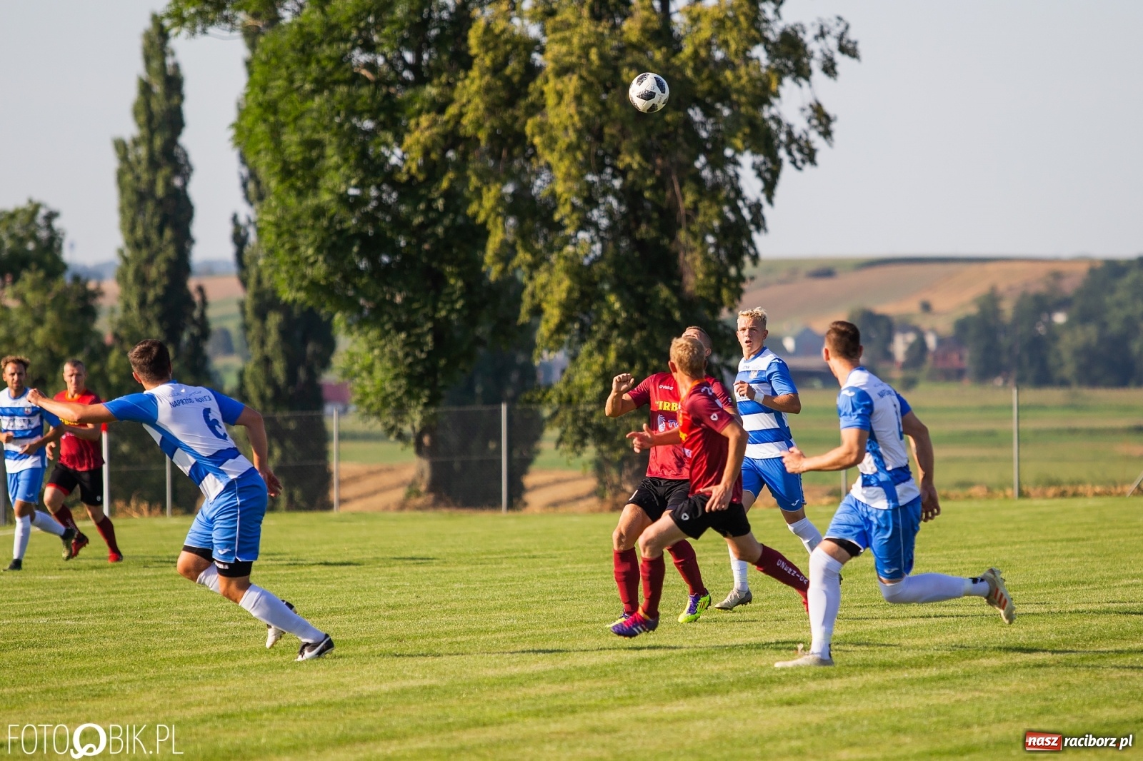 Zdjęcie w galerii na portalu naszraciborz.pl: Borutany zniszczyły mury czernickiego Zameczku [FOTO] wiadomości z regionu