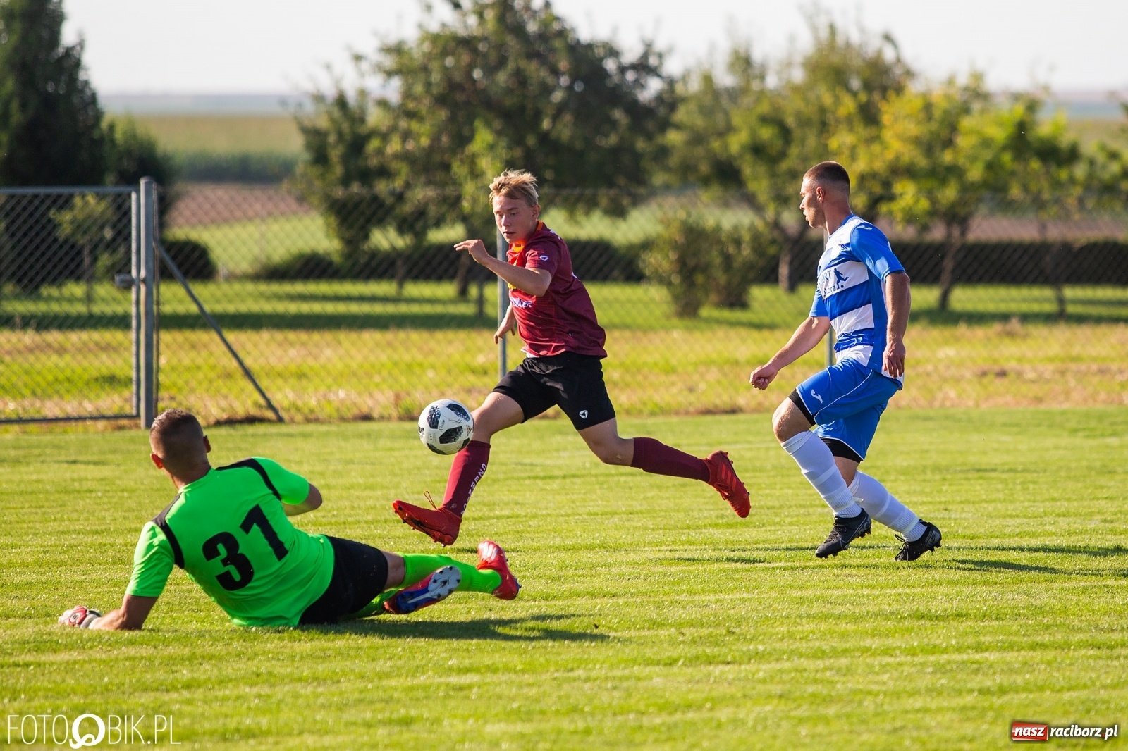 Zdjęcie w galerii na portalu naszraciborz.pl: Borutany zniszczyły mury czernickiego Zameczku [FOTO] wiadomości z regionu