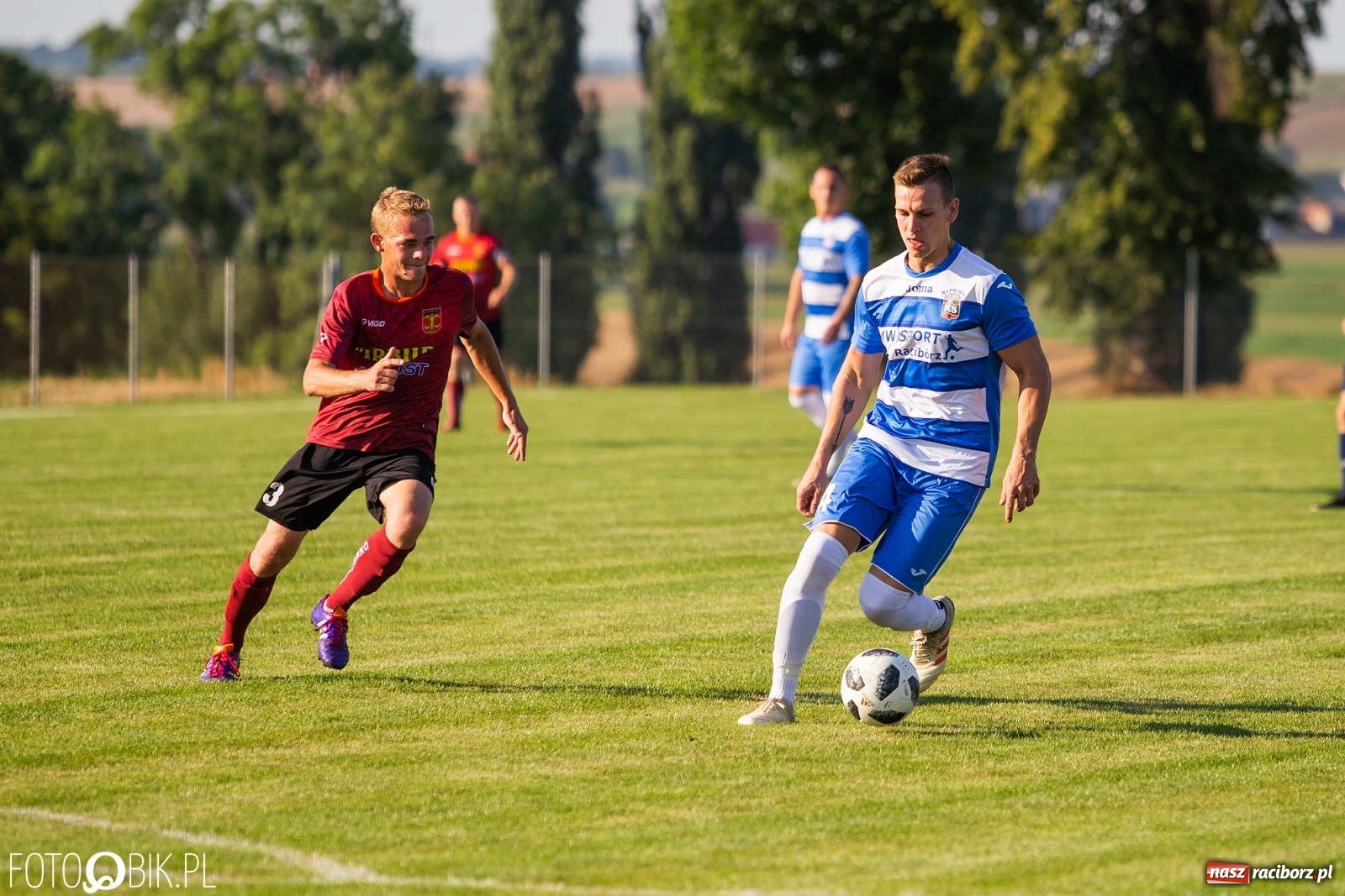 Zdjęcie w galerii na portalu naszraciborz.pl: Borutany zniszczyły mury czernickiego Zameczku [FOTO] wiadomości z regionu