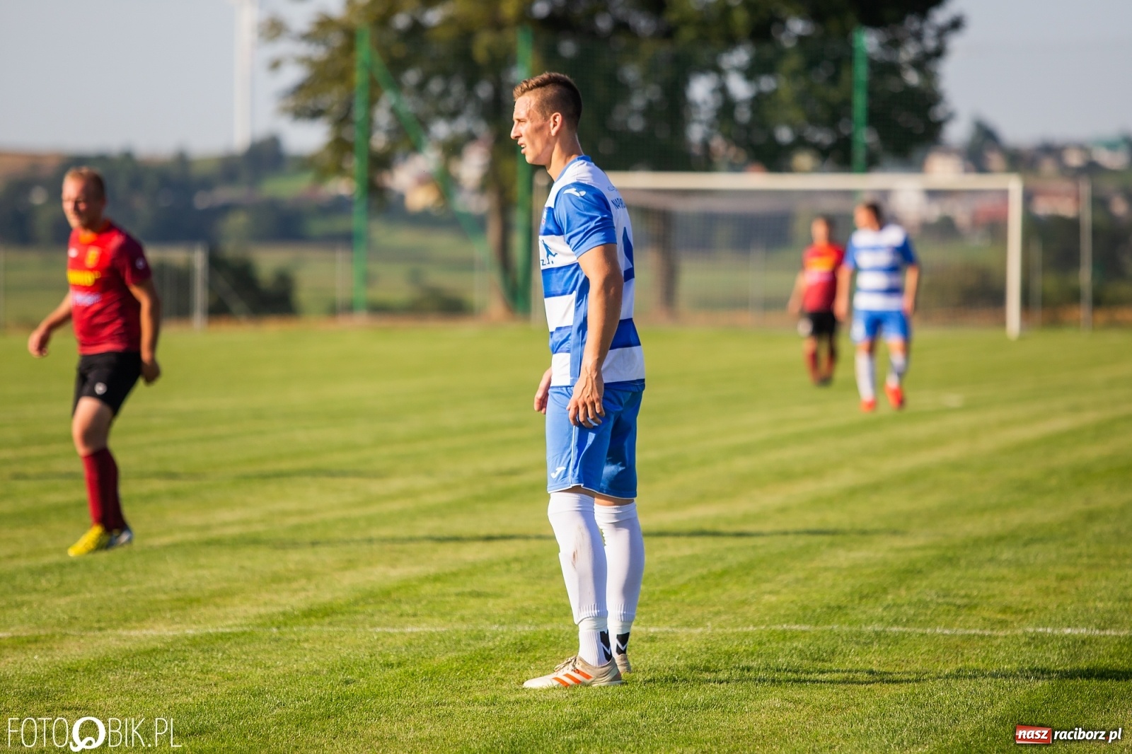 Zdjęcie w galerii na portalu naszraciborz.pl: Borutany zniszczyły mury czernickiego Zameczku [FOTO] wiadomości z regionu