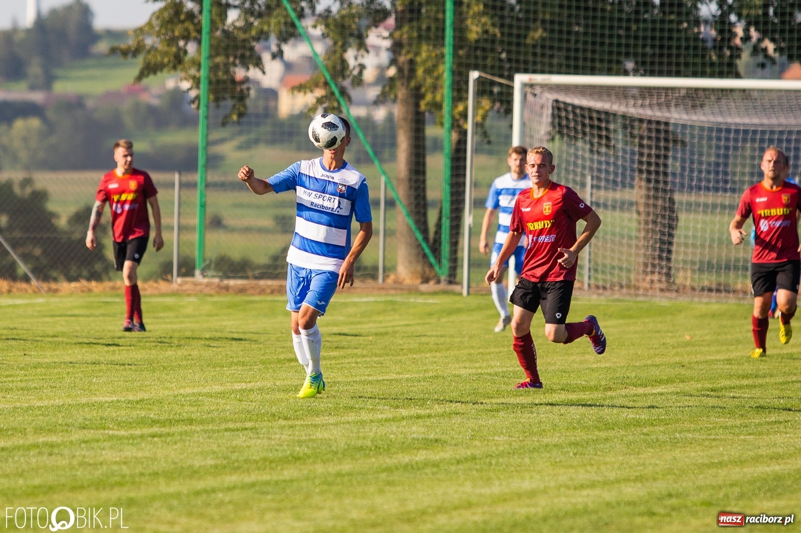 Zdjęcie w galerii na portalu naszraciborz.pl: Borutany zniszczyły mury czernickiego Zameczku [FOTO] wiadomości z regionu