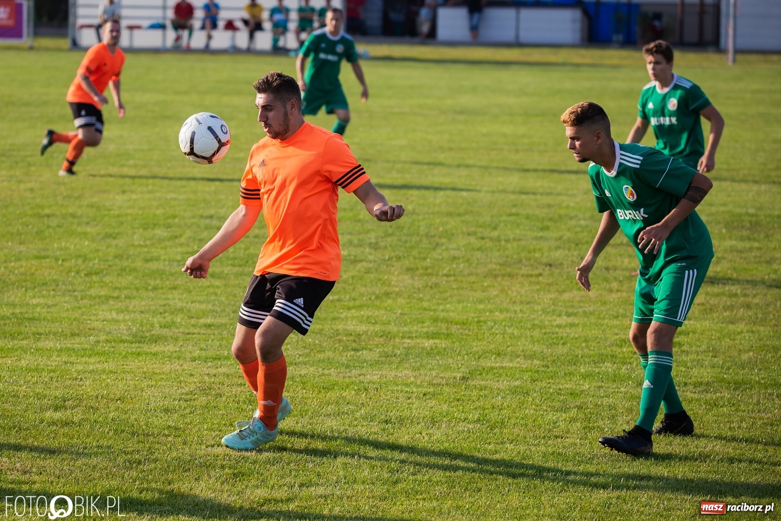 Zdjęcie w galerii na portalu naszraciborz.pl: Studzienna nie dała szans Syryni [FOTO] wiadomości z regionu