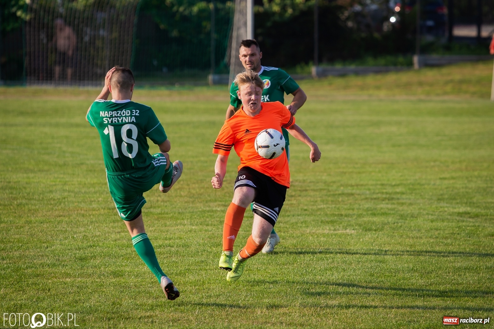 Zdjęcie w galerii na portalu naszraciborz.pl: Studzienna nie dała szans Syryni [FOTO] wiadomości z regionu