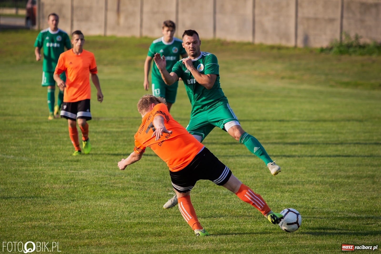 Zdjęcie w galerii na portalu naszraciborz.pl: Studzienna nie dała szans Syryni [FOTO] wiadomości z regionu