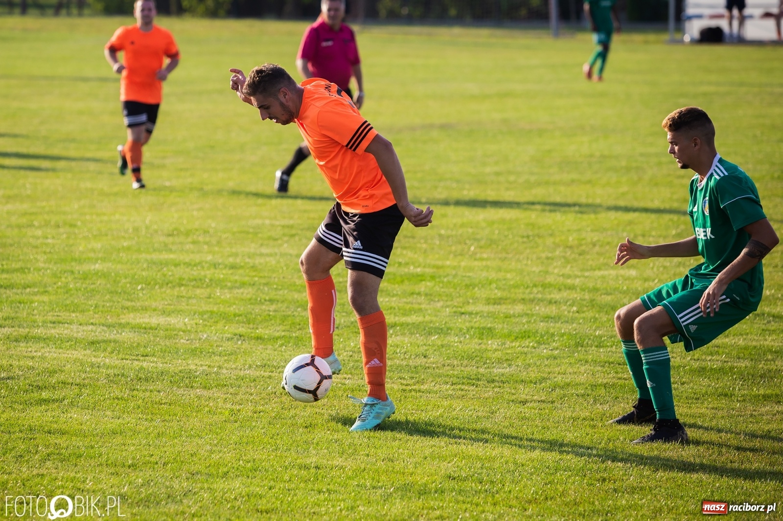 Zdjęcie w galerii na portalu naszraciborz.pl: Studzienna nie dała szans Syryni [FOTO] wiadomości z regionu