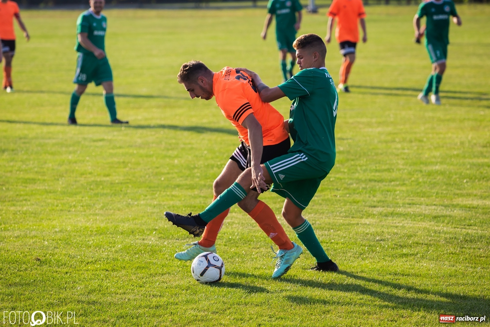 Zdjęcie w galerii na portalu naszraciborz.pl: Studzienna nie dała szans Syryni [FOTO] wiadomości z regionu