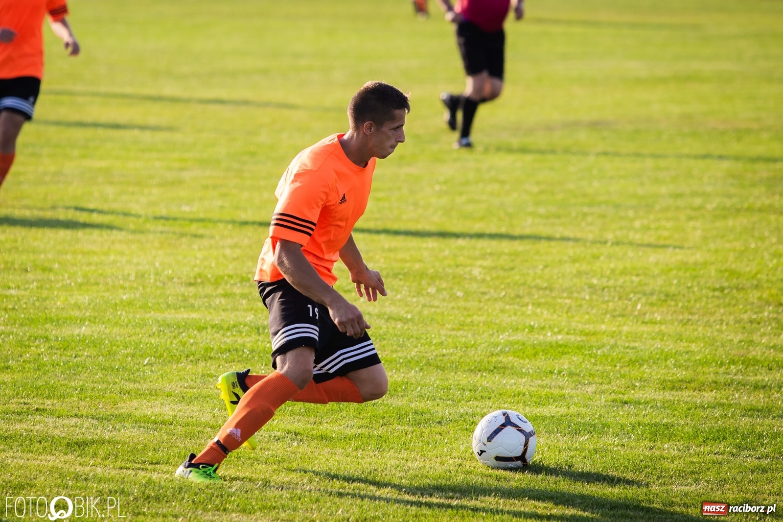 Zdjęcie w galerii na portalu naszraciborz.pl: Studzienna nie dała szans Syryni [FOTO] wiadomości z regionu