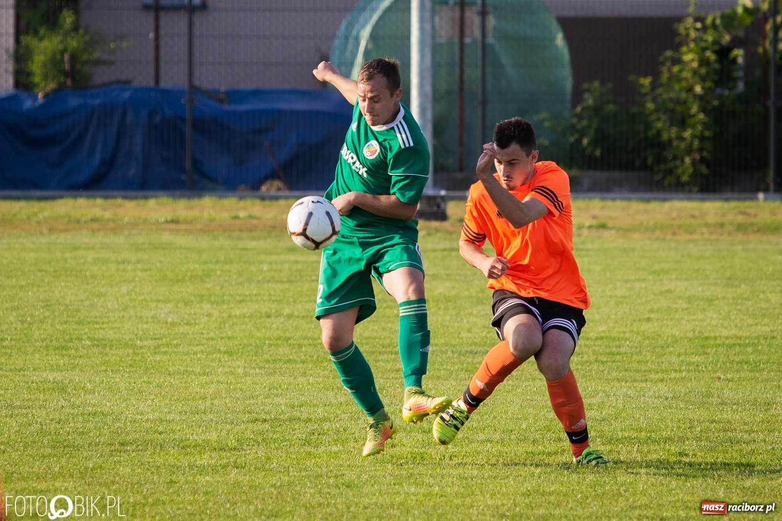 Zdjęcie w galerii na portalu naszraciborz.pl: Studzienna nie dała szans Syryni [FOTO] wiadomości z regionu