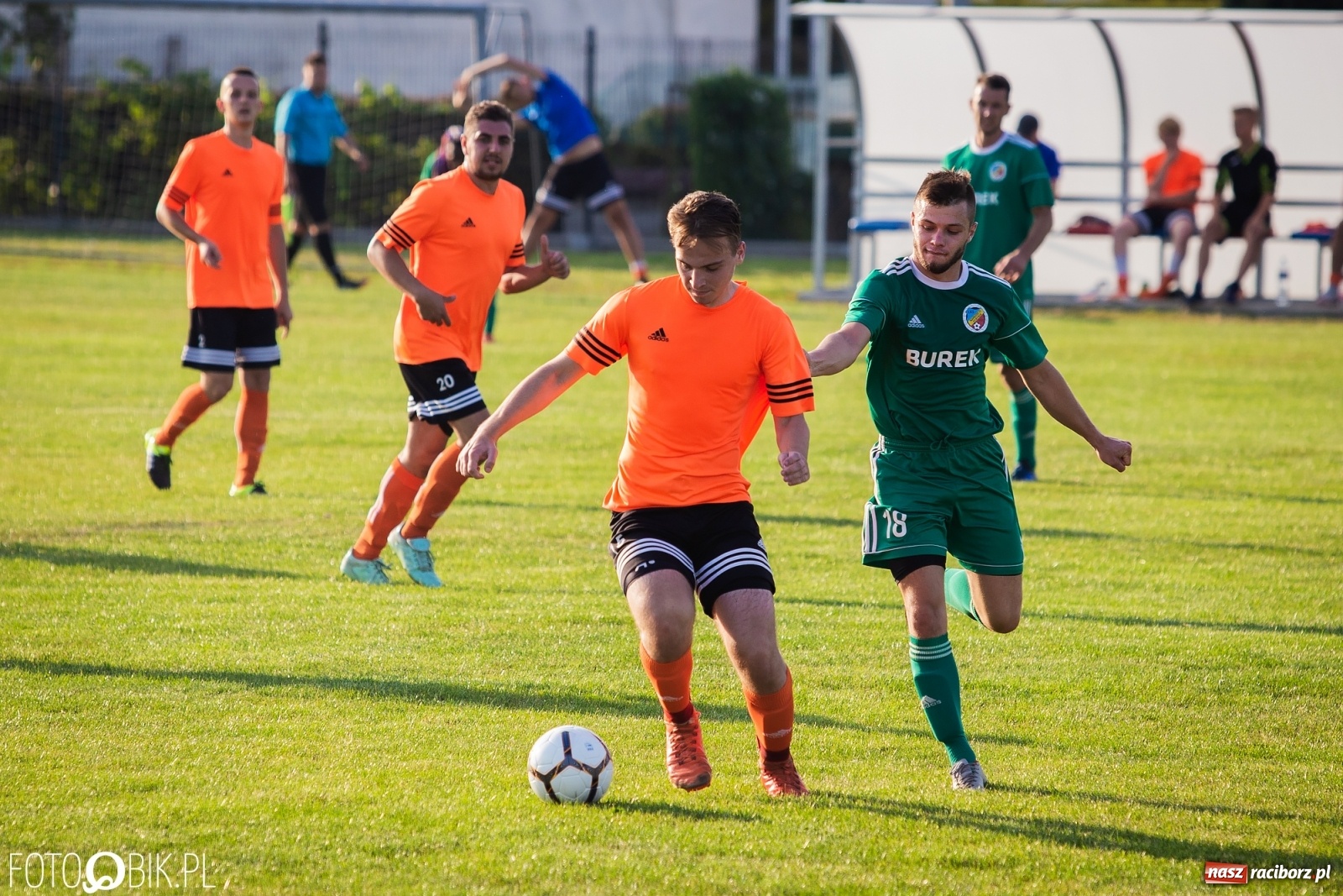 Zdjęcie w galerii na portalu naszraciborz.pl: Studzienna nie dała szans Syryni [FOTO] wiadomości z regionu