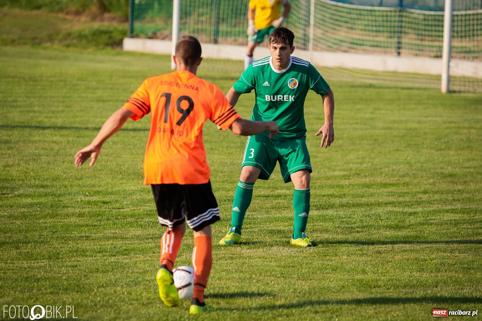 Zdjęcie w galerii na portalu naszraciborz.pl: Studzienna nie dała szans Syryni [FOTO] wiadomości z regionu