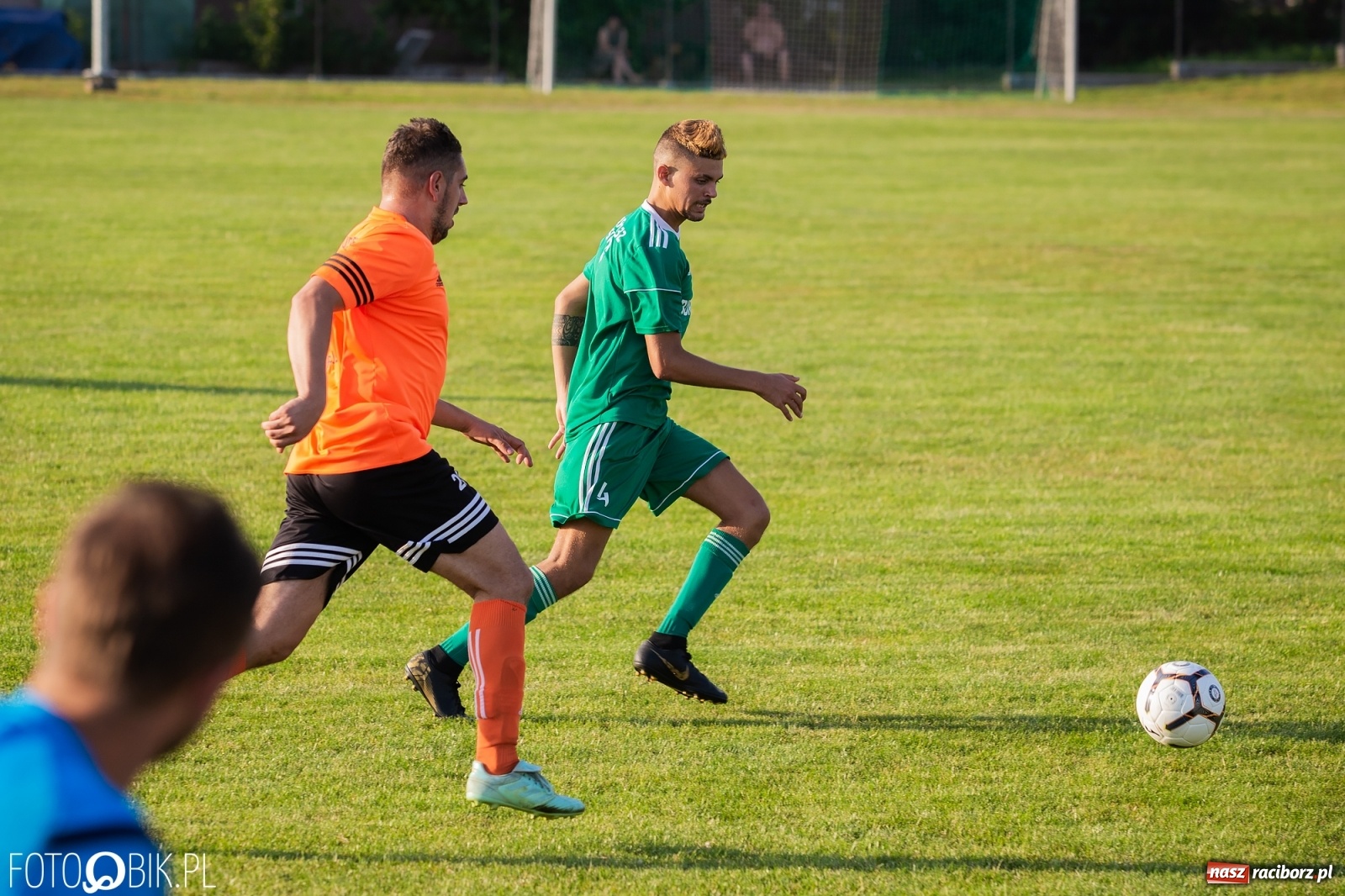 Zdjęcie w galerii na portalu naszraciborz.pl: Studzienna nie dała szans Syryni [FOTO] wiadomości z regionu