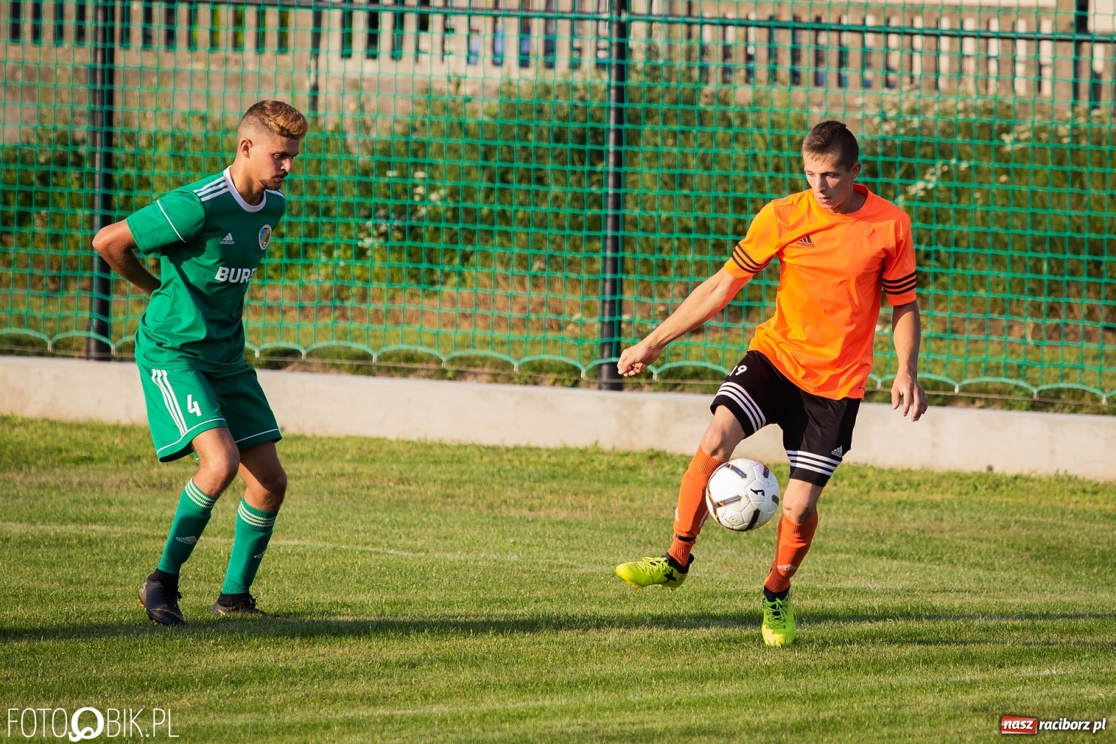 Zdjęcie w galerii na portalu naszraciborz.pl: Studzienna nie dała szans Syryni [FOTO] wiadomości z regionu