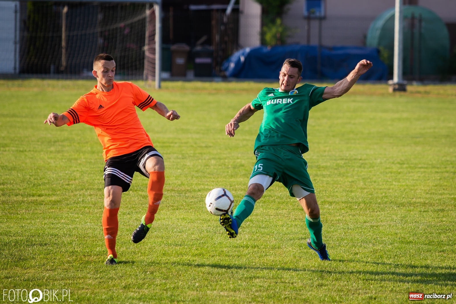 Zdjęcie w galerii na portalu naszraciborz.pl: Studzienna nie dała szans Syryni [FOTO] wiadomości z regionu