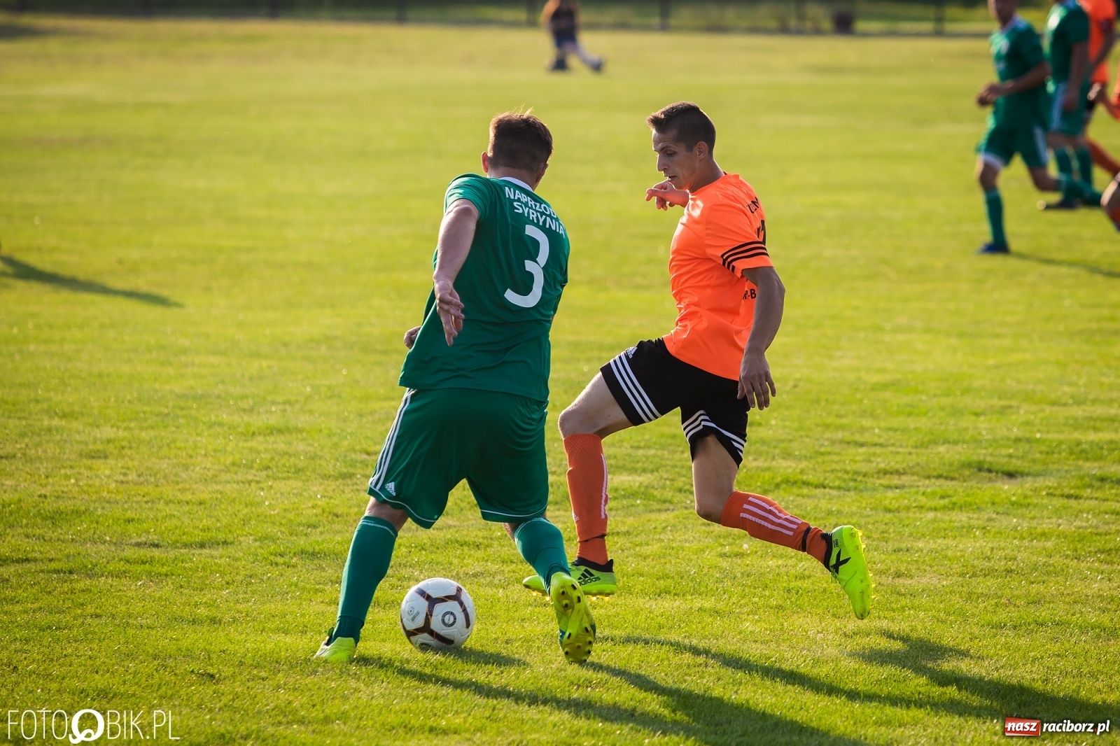 Zdjęcie w galerii na portalu naszraciborz.pl: Studzienna nie dała szans Syryni [FOTO] wiadomości z regionu