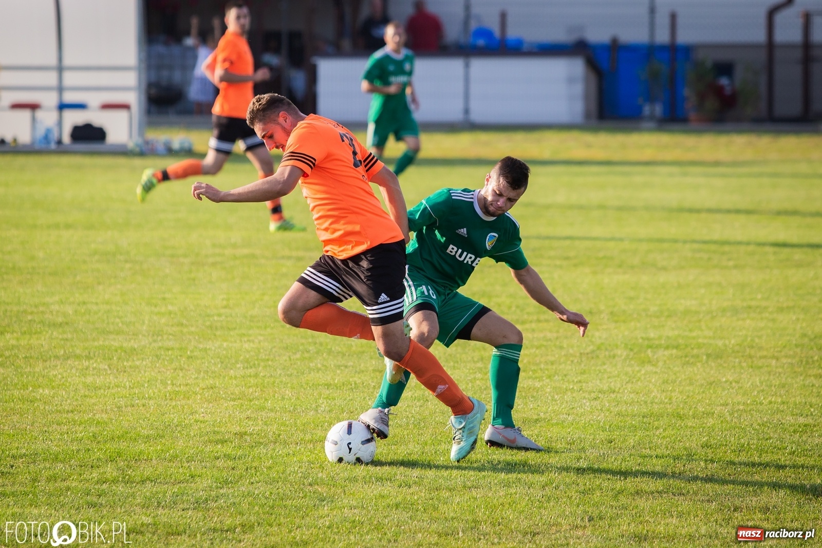 Zdjęcie w galerii na portalu naszraciborz.pl: Studzienna nie dała szans Syryni [FOTO] wiadomości z regionu