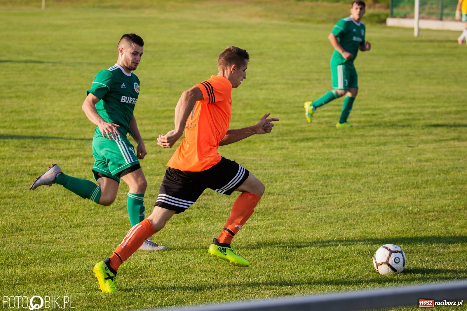 Zdjęcie w galerii na portalu naszraciborz.pl: Studzienna nie dała szans Syryni [FOTO] wiadomości z regionu