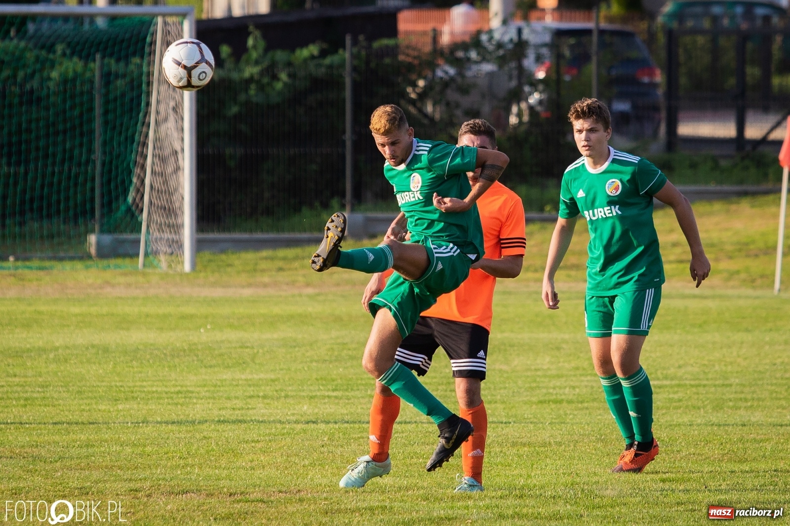 Zdjęcie w galerii na portalu naszraciborz.pl: Studzienna nie dała szans Syryni [FOTO] wiadomości z regionu