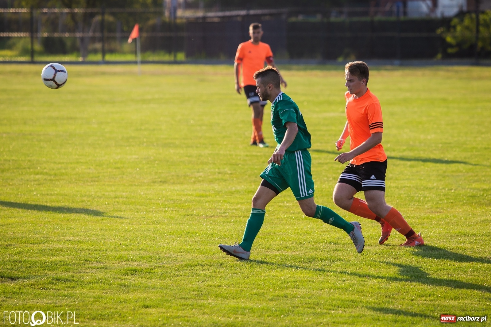 Zdjęcie w galerii na portalu naszraciborz.pl: Studzienna nie dała szans Syryni [FOTO] wiadomości z regionu