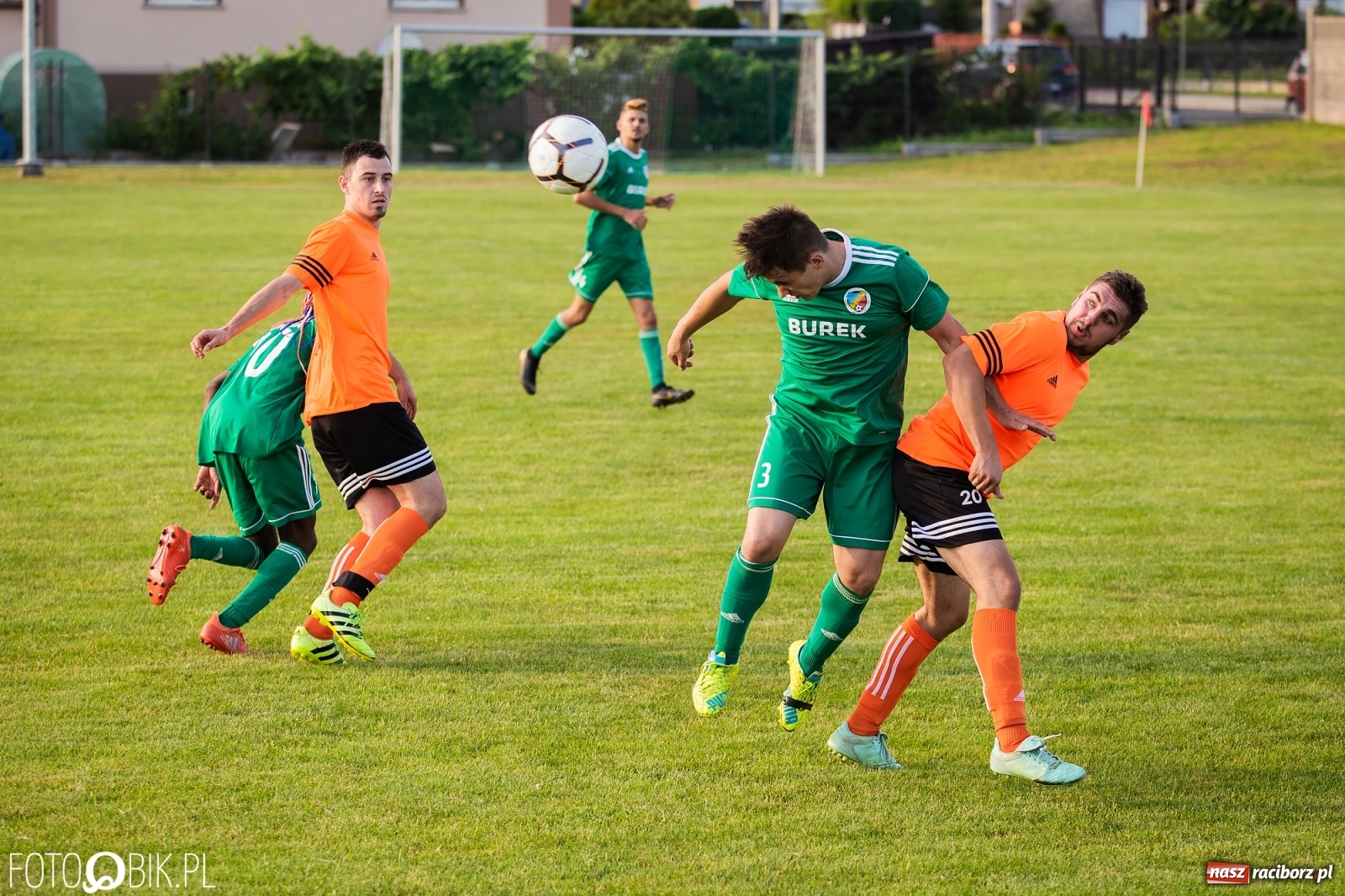 Zdjęcie w galerii na portalu naszraciborz.pl: Studzienna nie dała szans Syryni [FOTO] wiadomości z regionu