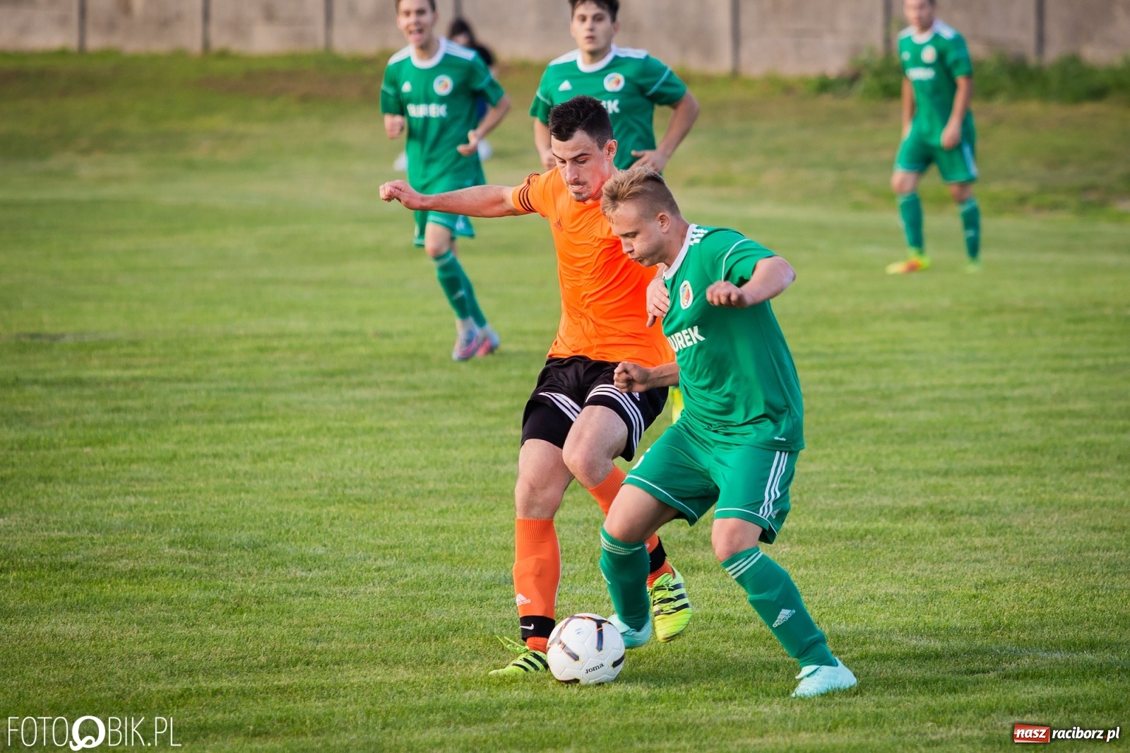 Zdjęcie w galerii na portalu naszraciborz.pl: Studzienna nie dała szans Syryni [FOTO] wiadomości z regionu
