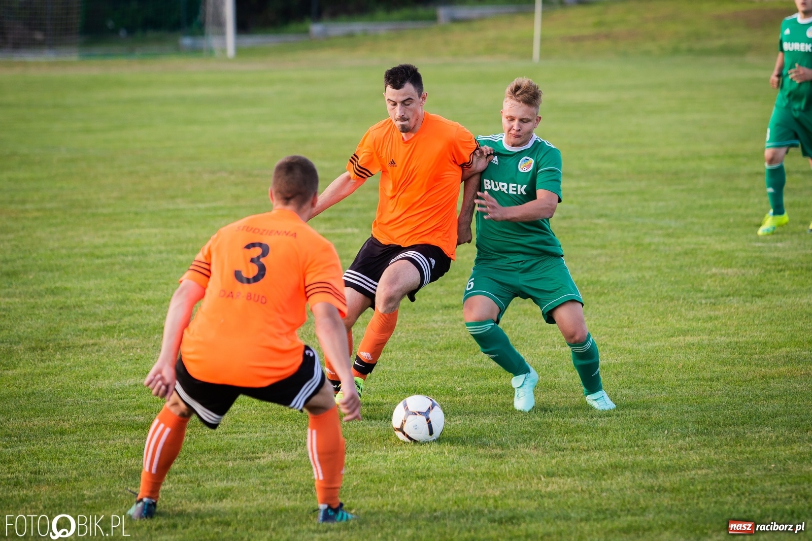Zdjęcie w galerii na portalu naszraciborz.pl: Studzienna nie dała szans Syryni [FOTO] wiadomości z regionu