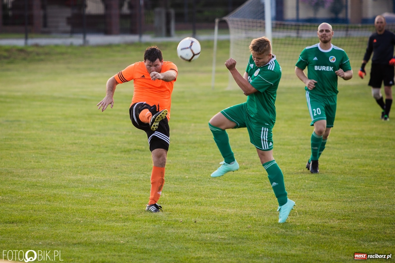 Zdjęcie w galerii na portalu naszraciborz.pl: Studzienna nie dała szans Syryni [FOTO] wiadomości z regionu