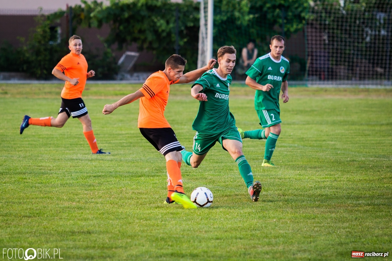 Zdjęcie w galerii na portalu naszraciborz.pl: Studzienna nie dała szans Syryni [FOTO] wiadomości z regionu