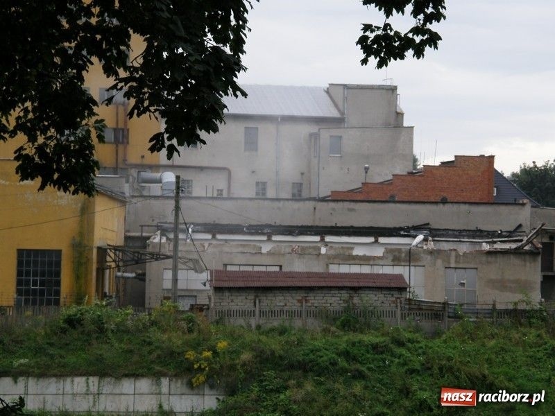 Zdjęcie w galerii na portalu naszraciborz.pl: Palą starą papę i smrodzą wiadomości z regionu