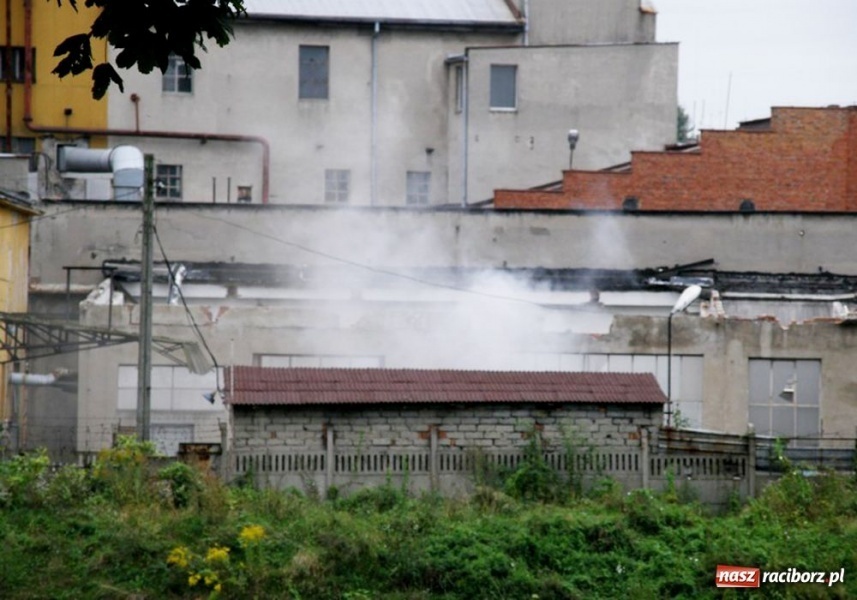 Zdjęcie w galerii na portalu naszraciborz.pl: Palą starą papę i smrodzą wiadomości z regionu