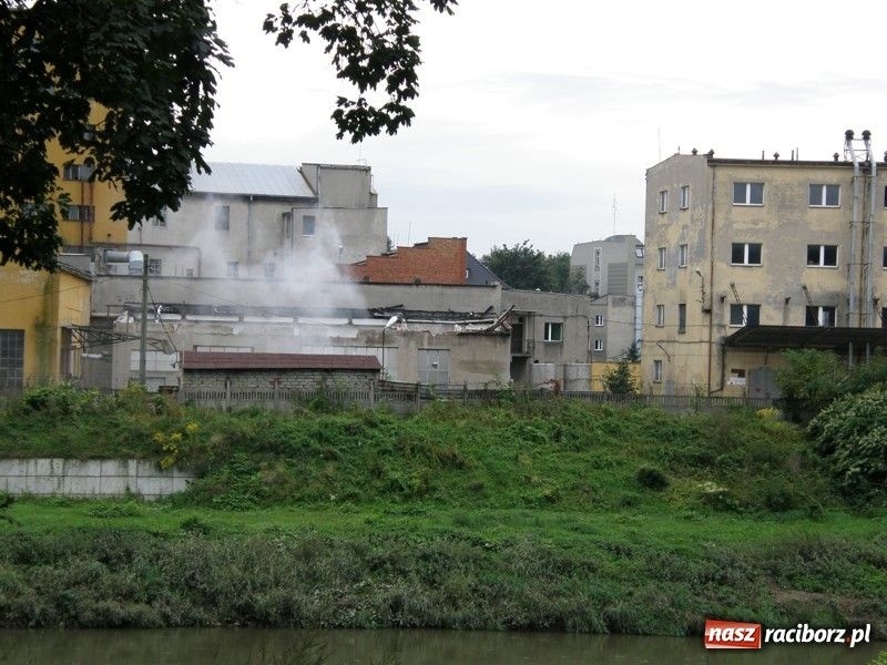 Zdjęcie w galerii na portalu naszraciborz.pl: Palą starą papę i smrodzą wiadomości z regionu