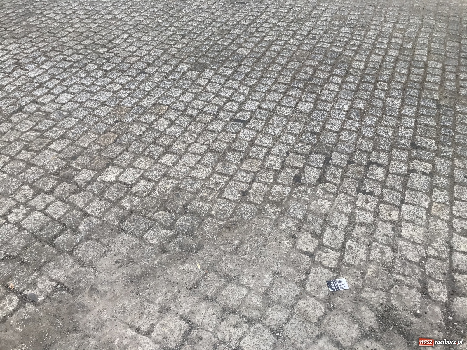 Zdjęcie w galerii na portalu naszraciborz.pl: Na ulicy Karola Miarki odsłonięto piękny przedwojenny bruk. Co się z nim stanie?  wiadomości z regionu