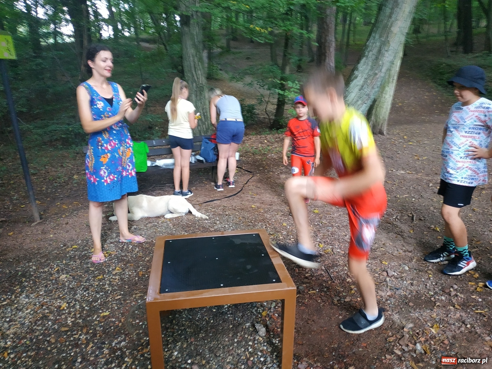 Zdjęcie w galerii na portalu naszraciborz.pl: Wielkie bicie rekordów w Arboretum  wiadomości z regionu