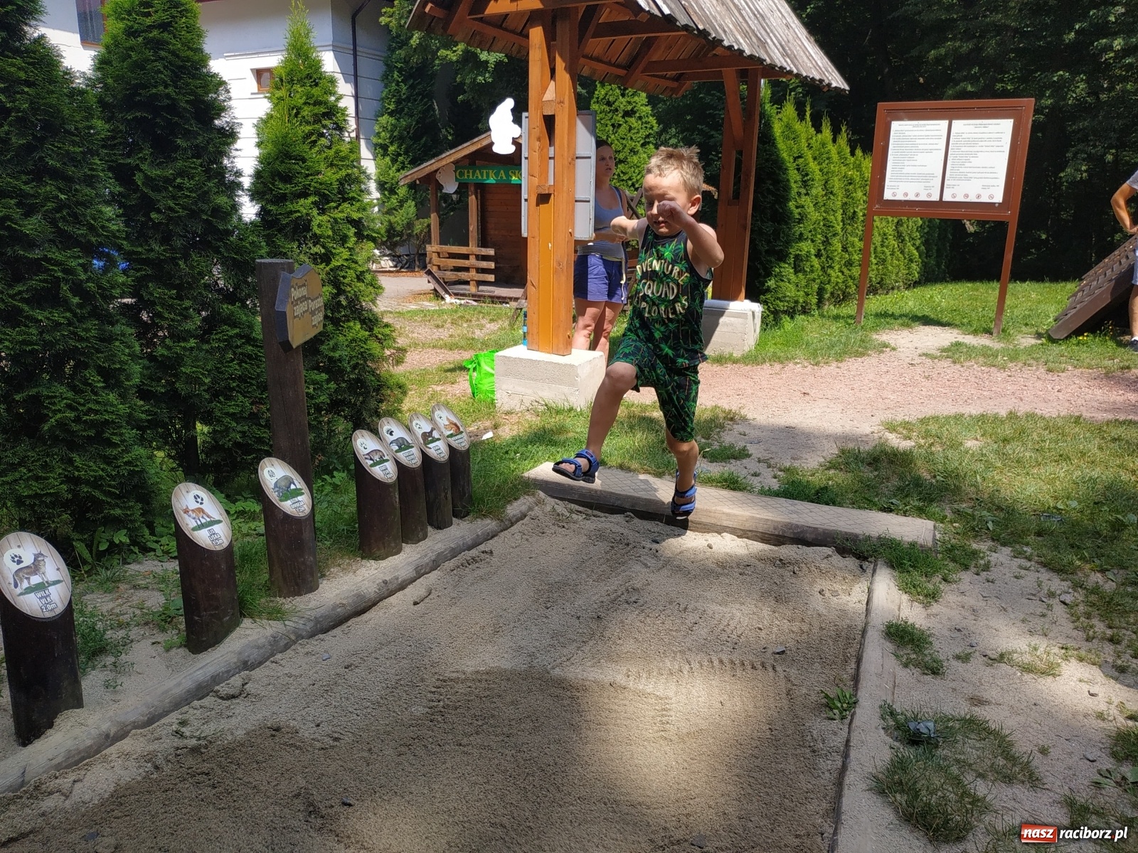 Zdjęcie w galerii na portalu naszraciborz.pl: Wielkie bicie rekordów w Arboretum  wiadomości z regionu