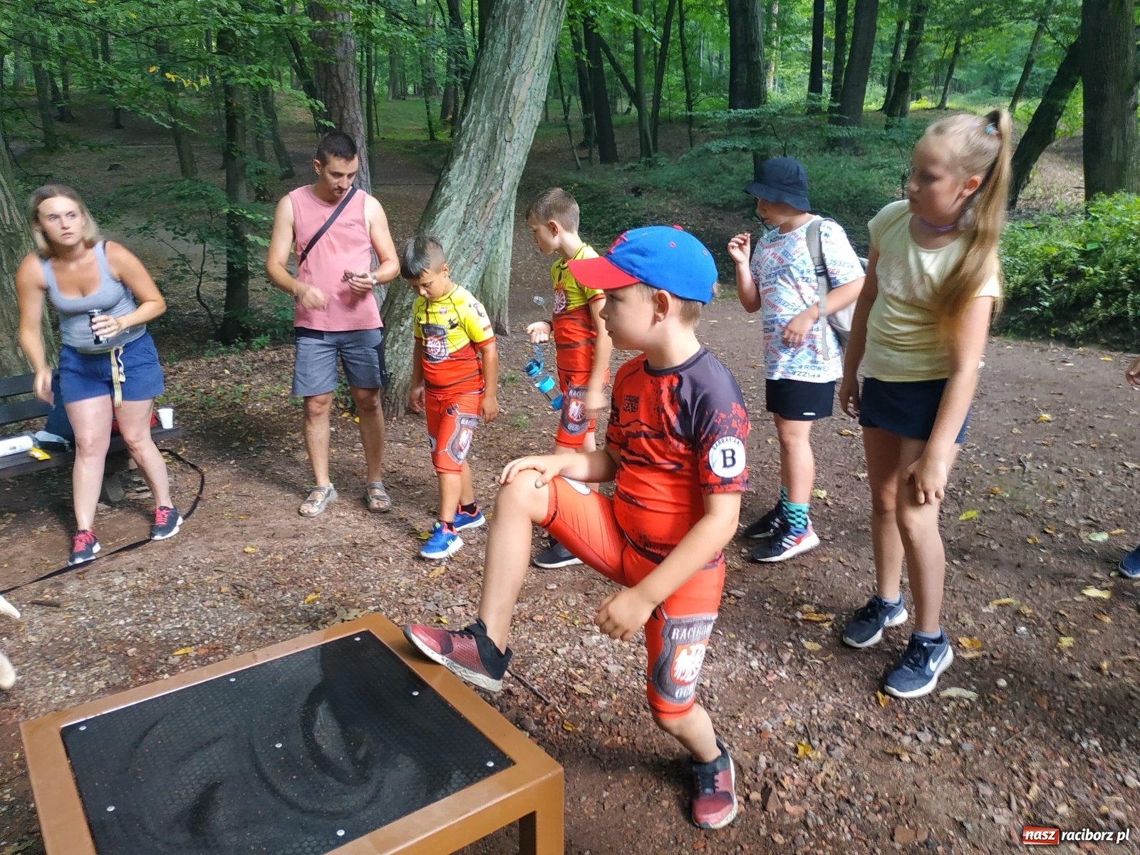 Zdjęcie w galerii na portalu naszraciborz.pl: Wielkie bicie rekordów w Arboretum  wiadomości z regionu