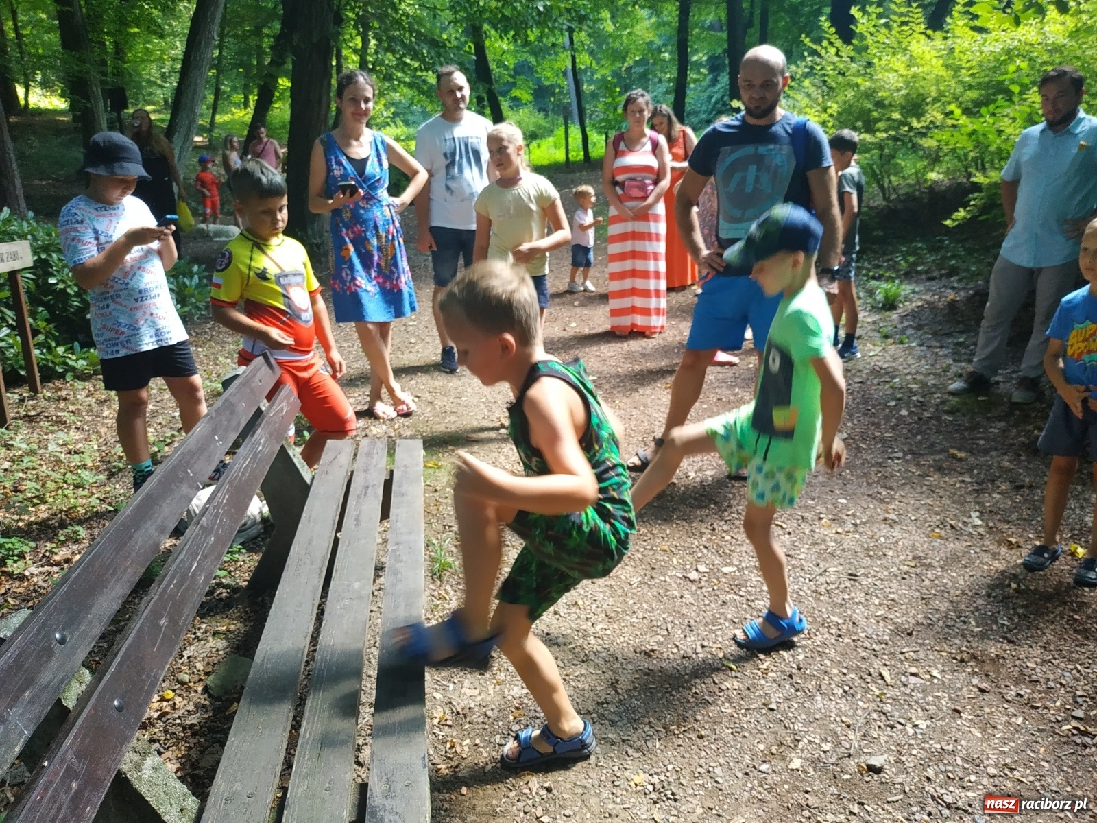 Zdjęcie w galerii na portalu naszraciborz.pl: Wielkie bicie rekordów w Arboretum  wiadomości z regionu