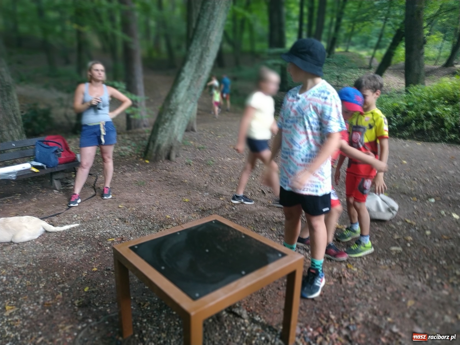 Zdjęcie w galerii na portalu naszraciborz.pl: Wielkie bicie rekordów w Arboretum  wiadomości z regionu