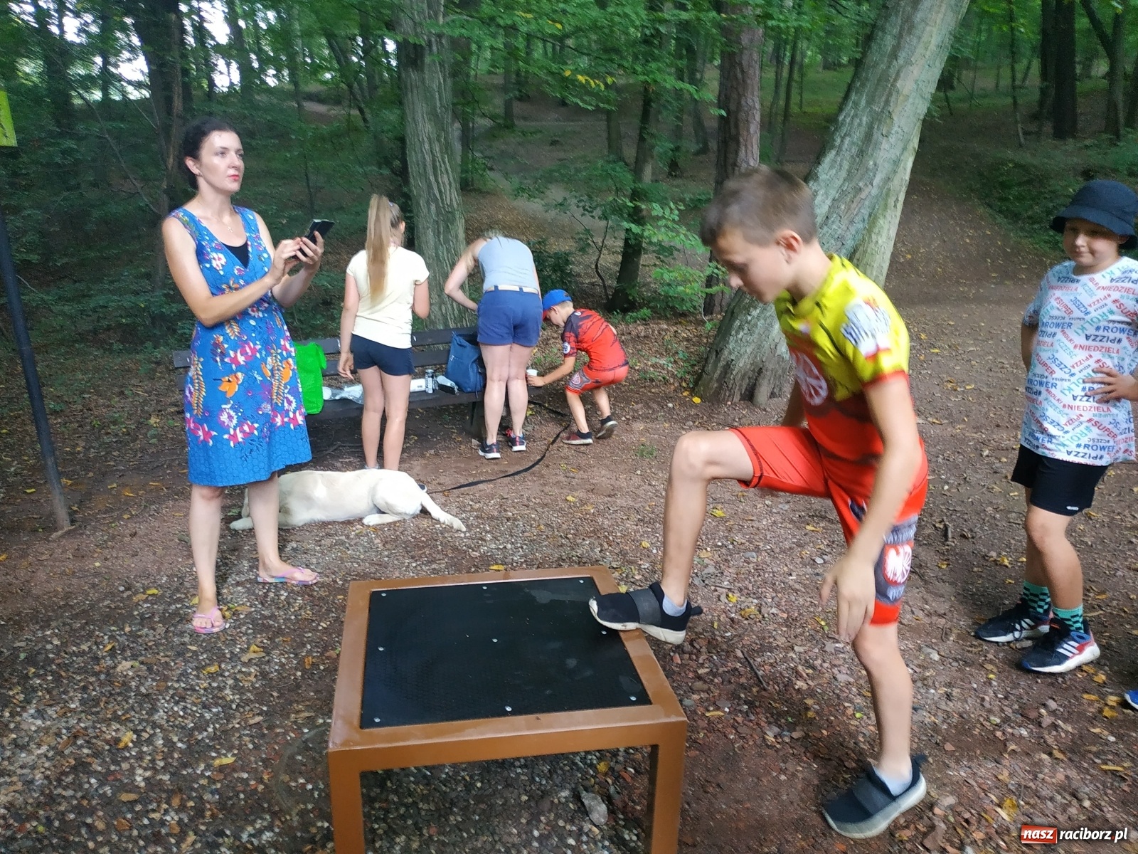 Zdjęcie w galerii na portalu naszraciborz.pl: Wielkie bicie rekordów w Arboretum  wiadomości z regionu