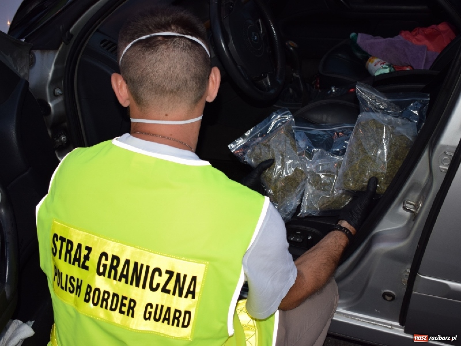 Zdjęcie w galerii na portalu naszraciborz.pl: Pół kilograma marihuany ujawnione podczas rutynowej kontroli wiadomości z regionu