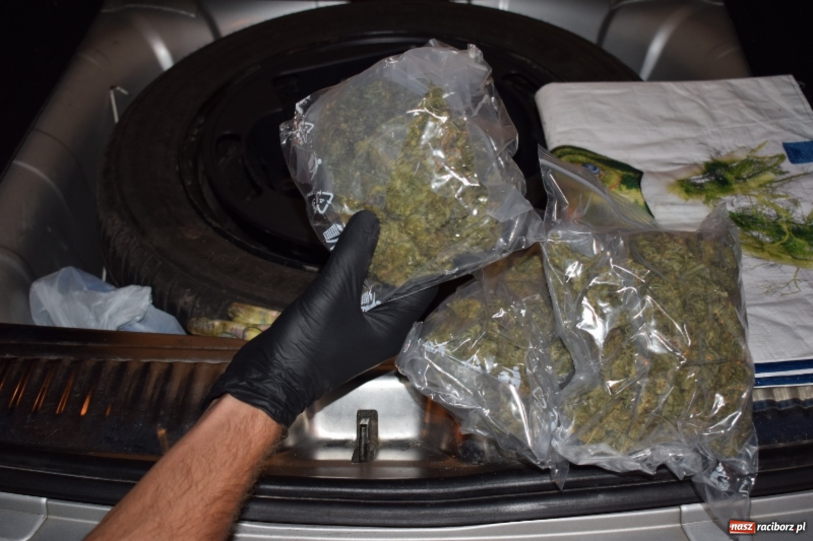 Zdjęcie w galerii na portalu naszraciborz.pl: Pół kilograma marihuany ujawnione podczas rutynowej kontroli wiadomości z regionu
