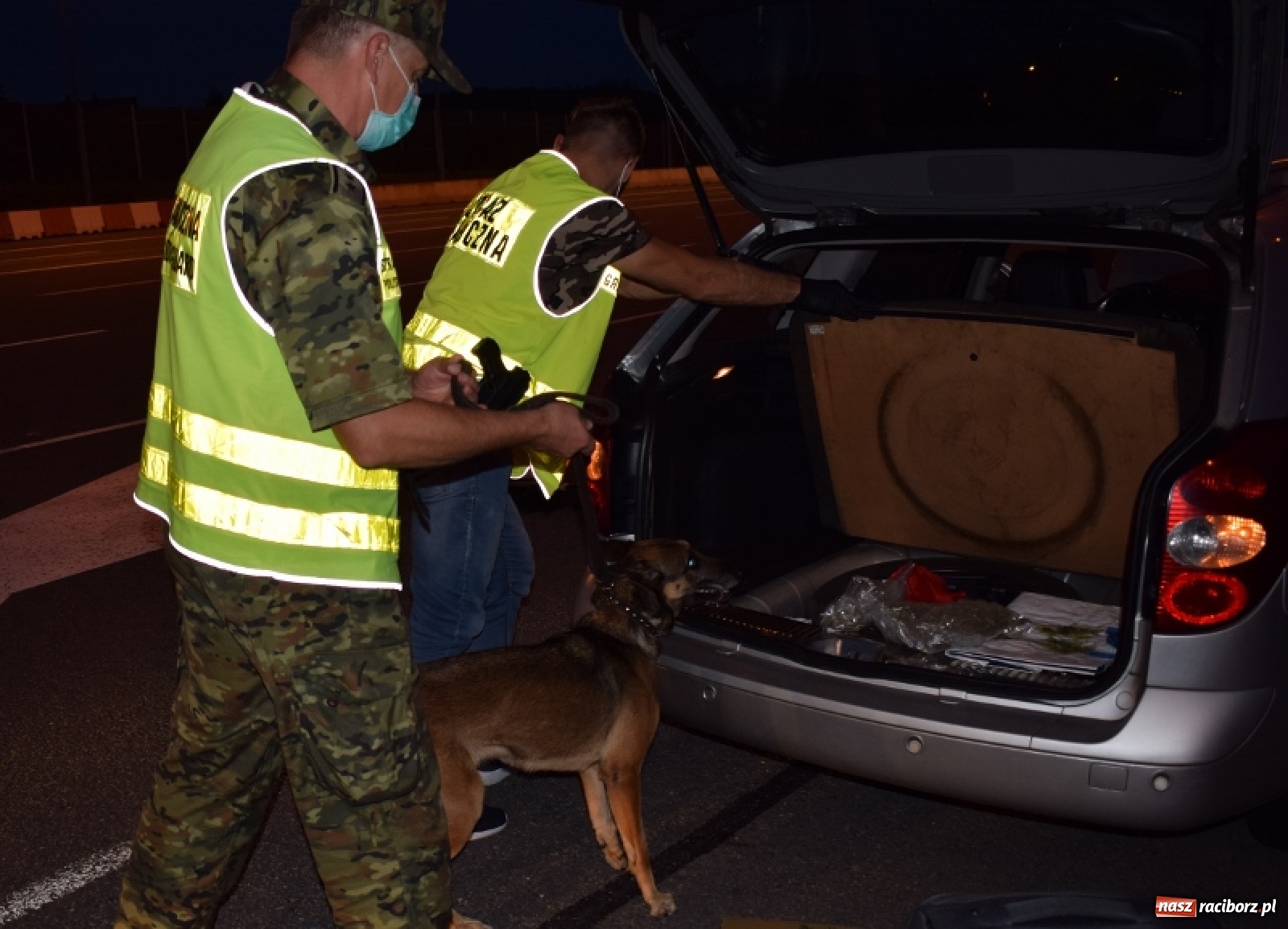 Zdjęcie w galerii na portalu naszraciborz.pl: Pół kilograma marihuany ujawnione podczas rutynowej kontroli wiadomości z regionu
