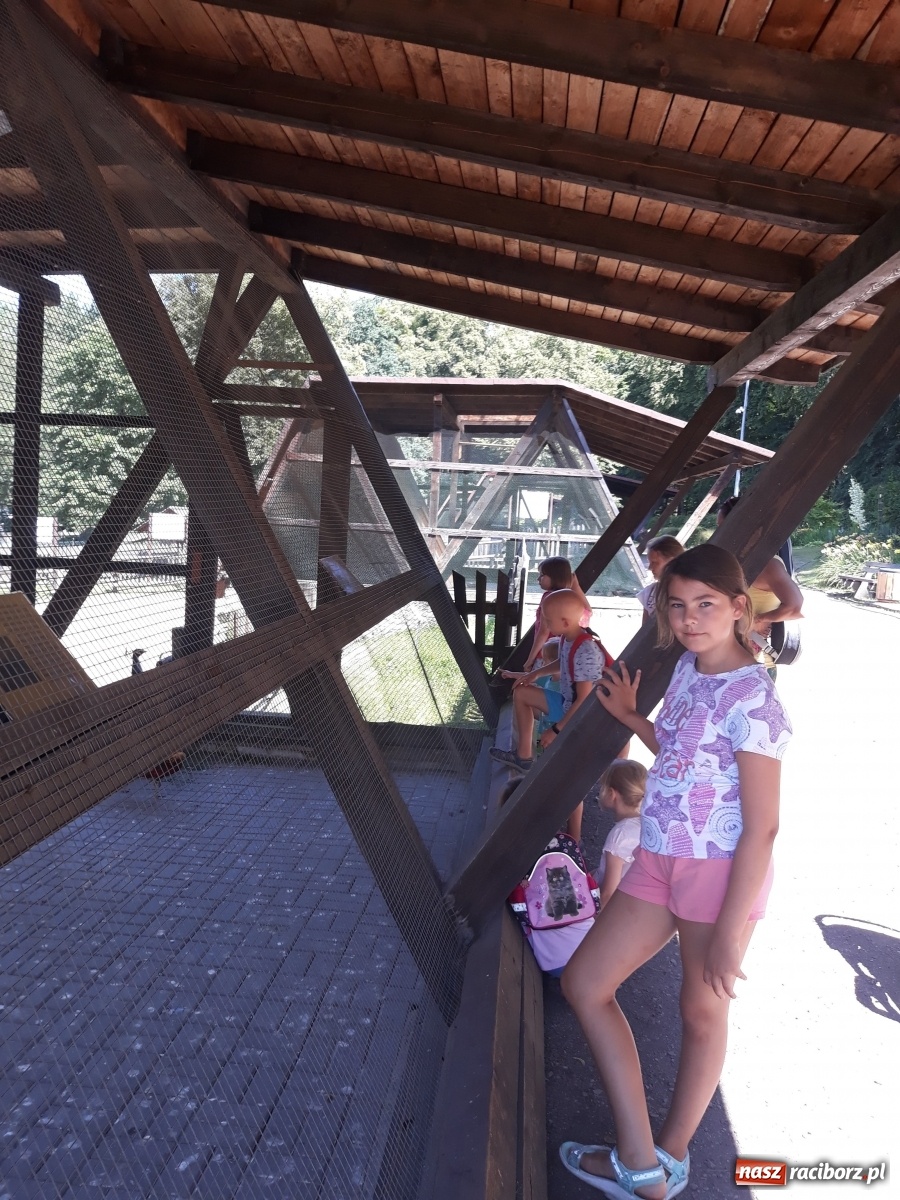 Zdjęcie w galerii na portalu naszraciborz.pl: RCK podsumowało zajęcia Na dworze w Oborze wiadomości z regionu