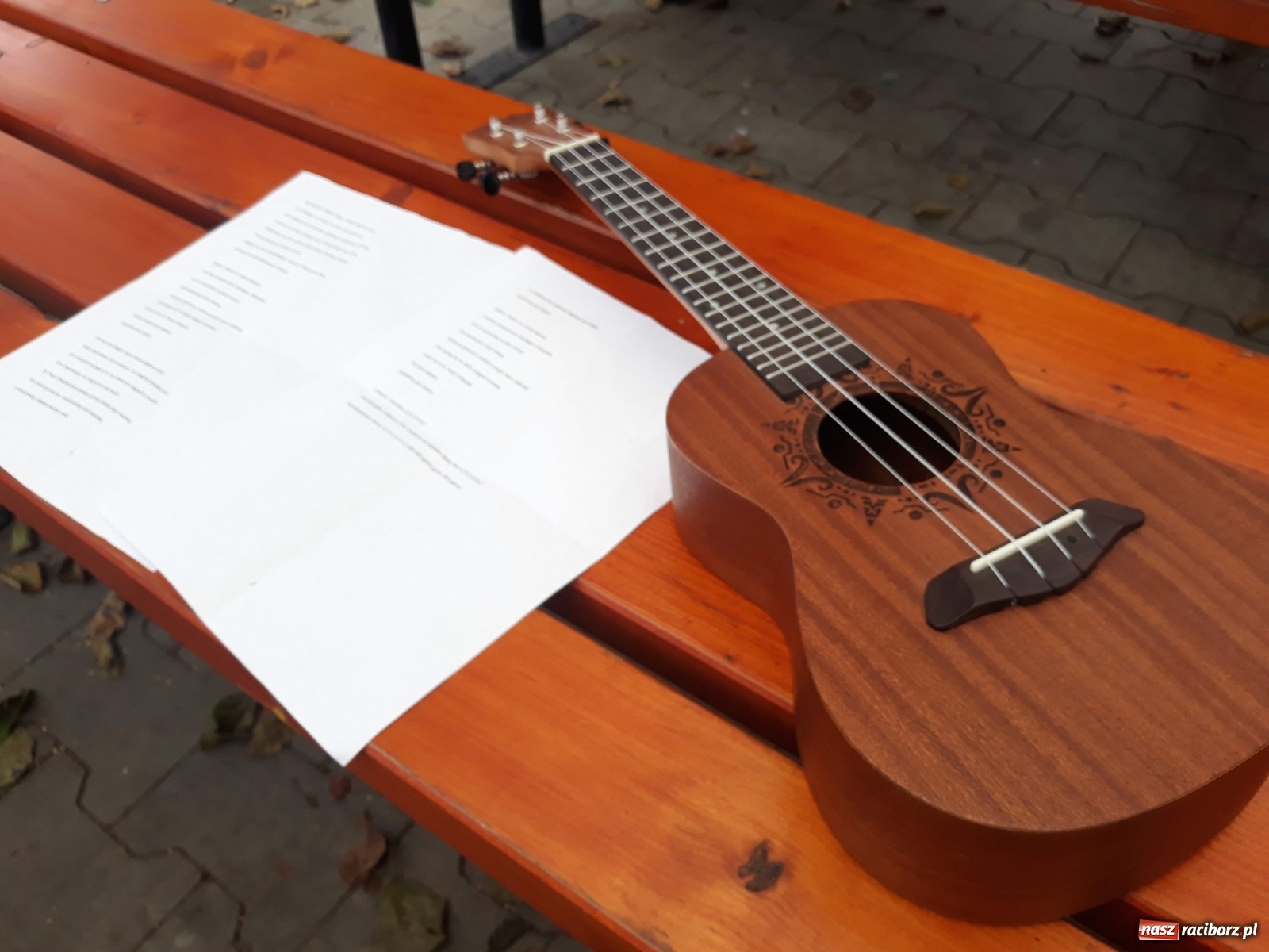 Zdjęcie w galerii na portalu naszraciborz.pl: RCK podsumowało zajęcia Na dworze w Oborze wiadomości z regionu