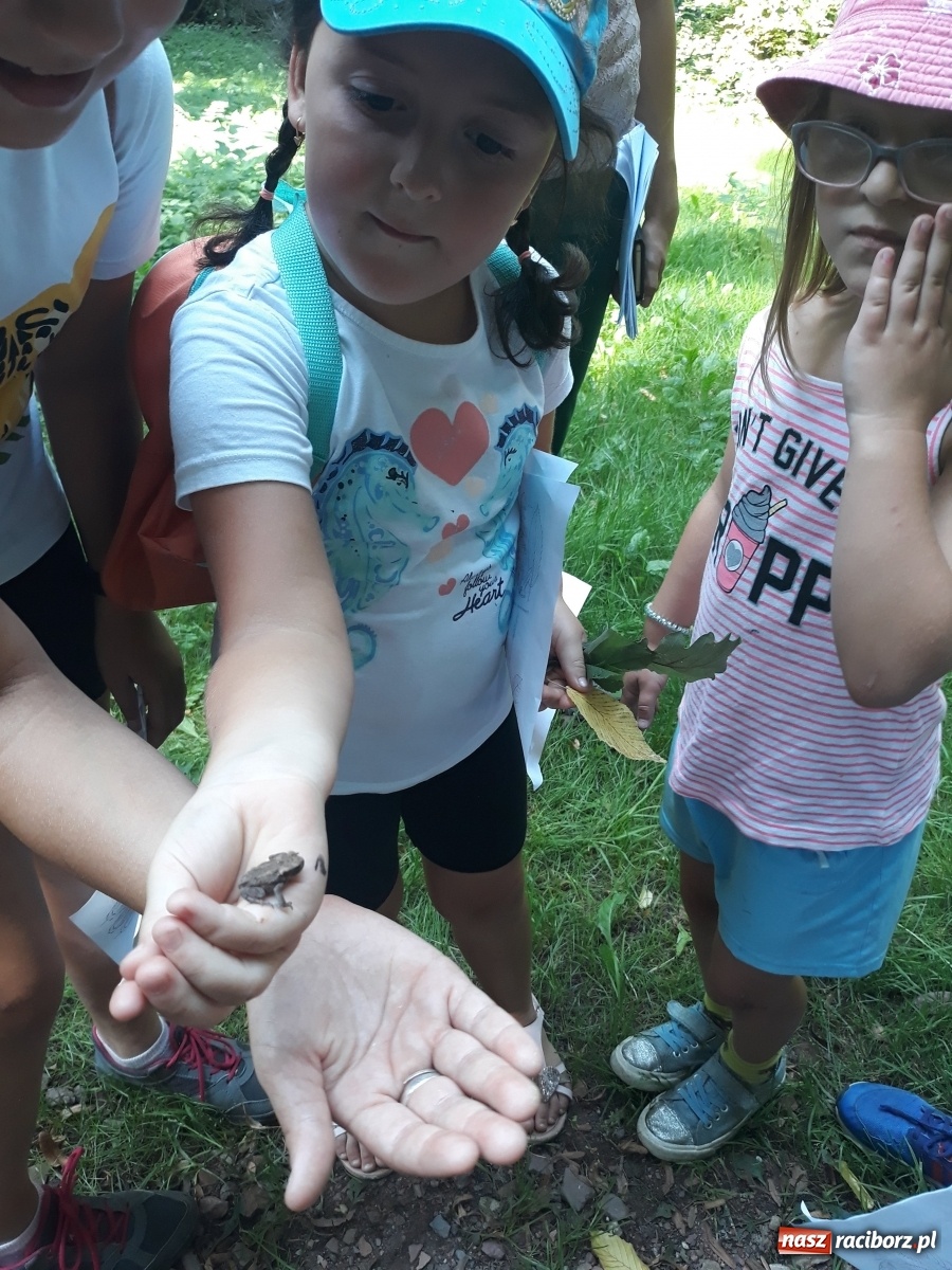 Zdjęcie w galerii na portalu naszraciborz.pl: RCK podsumowało zajęcia Na dworze w Oborze wiadomości z regionu